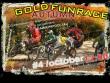 4   (4) "Gold Autumn Fun Race 4x 2009" .