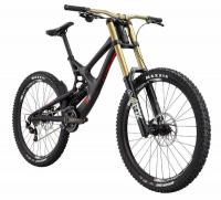 Intense M16 Carbon Expert -  