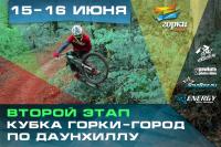        Gorky DH Cup