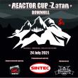     "Reactor Cup 2021"