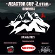      "Reactor Cup 2021"